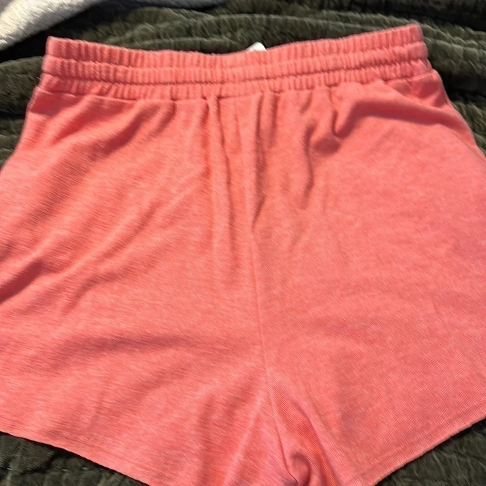 NWT GB shorts sz XL Giani Bernini